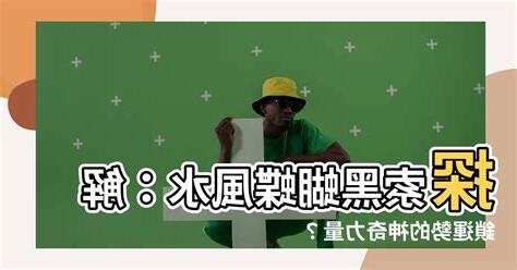 黑蝴蝶 風水